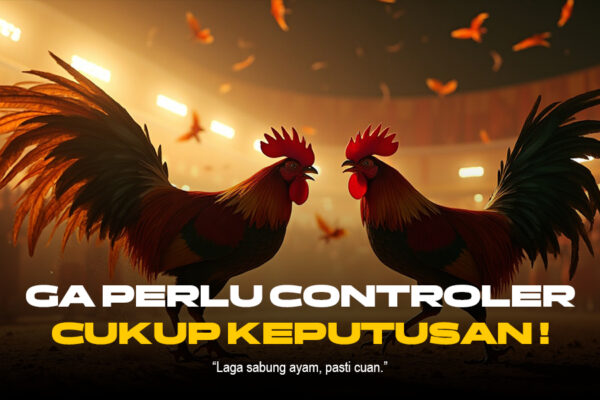 Sabung Ayam: Tradisi, Kontroversi, dan Perkembangannya