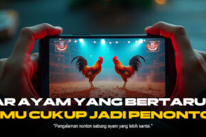 Mengenal Ayam Bangkok di Sabung Ayam SV388: Raja Arena Aduan