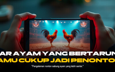 Mengenal Ayam Bangkok di Sabung Ayam SV388: Raja Arena Aduan