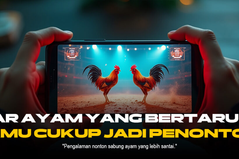 Mengenal Ayam Bangkok di Sabung Ayam SV388: Raja Arena Aduan Mengenal Ayam Bangkok di Sabung Ayam SV388: Raja Arena Aduan