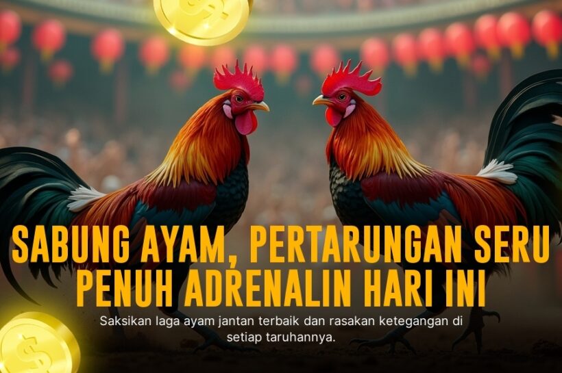 Kehebatan Ayam Bangkok di SV388: Panduan Lengkap Sabung Ayam Online Kehebatan Ayam Bangkok di SV388: Panduan Lengkap Sabung Ayam Online