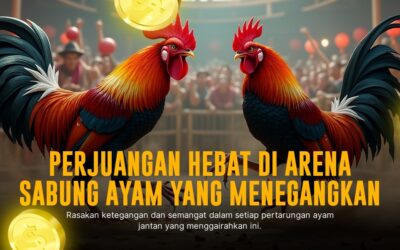 Mengenal Ayam Bangkok di Sabung Ayam SV388: Peluang dan Keunggulan