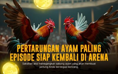 Mengenal Sabung Ayam S128: Adu Strategi dan Keberuntungan