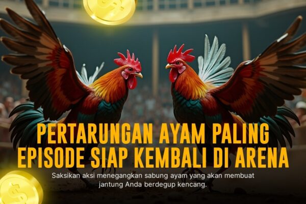 Mengenal Sabung Ayam S128: Adu Strategi dan Keberuntungan