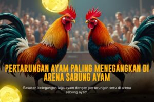 Rahasia Kemenangan di Sabung Ayam SV388 yang Harus Kamu Tahu