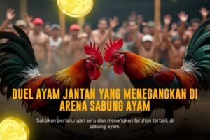 Menguak Keistimewaan Ayam Bangkok dalam Sabung Ayam SV388