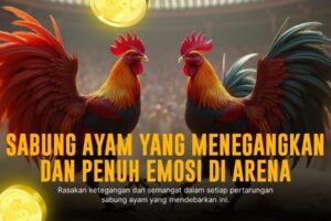 Rahasia Kemenangan Sabung Ayam S128 yang Wajib Anda Ketahui